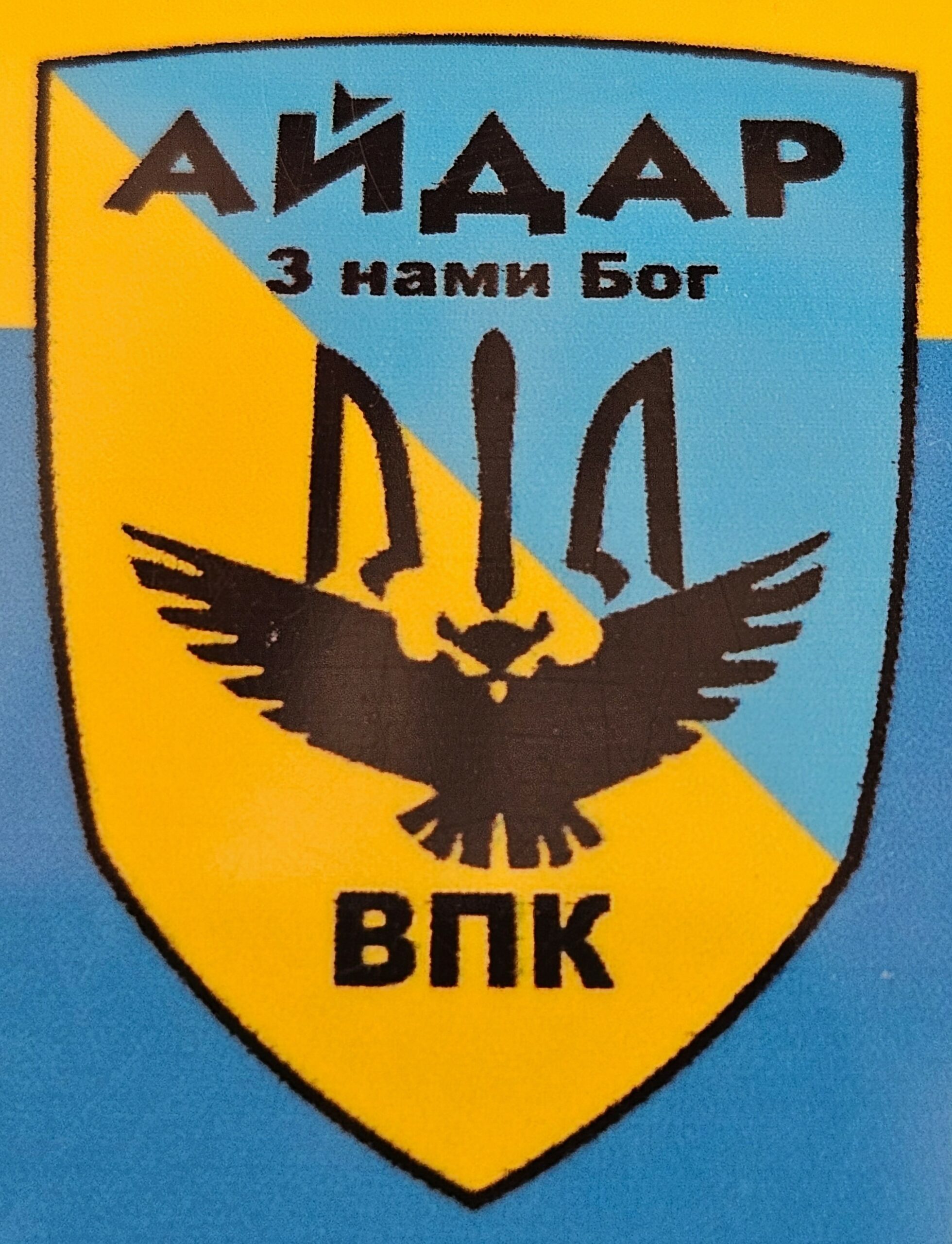 Flag Logo